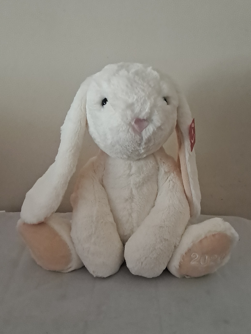 Plush Bunny Stuffed Animal - Soft